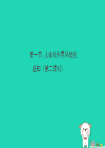 七年级生物下册 4.6.1《人体对外界环境的感知》第二课时课件2 （新版）新人教版