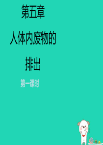 七年级生物下册 4.5《人体内废物的排出》第一课时课件1 （新版）新人教版