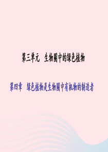 七年级生物上册 第三单元 第四章 绿色植物是生物圈中有机物的制造者习题课件 （新版）新人教版