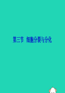 七年级生物上册 第二单元 生物体的结构层次 第三章 细胞是生命活动的基本单位 第三节 细胞的分裂与分