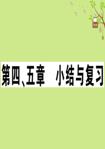 七年级地理上册 第四、五章小结与复习习题课件 （新版）新人教版