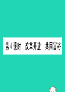 宁夏2019中考道德与法治考点复习 第二篇 第一板块 国情部分 第4课时 改革开放 共同富裕课件