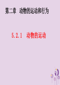 内蒙古康巴什新区八年级生物上册 5.2.1 动物的运动课件 （新版）新人教版