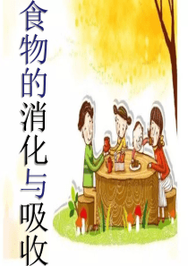 内蒙古鄂尔多斯市达拉特旗七年级生物下册 4.2.2消化和吸收课件 （新版）新人教版