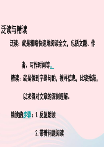 六年级语文下册 第四单元 17 汤姆 索亚历险记课堂教学课件3 新人教版