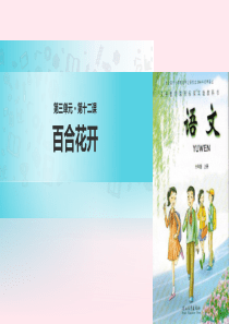 六年级语文上册 第三单元 12《百合花开》教学课件 冀教版