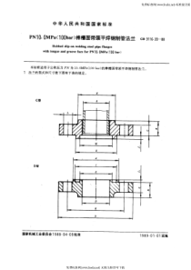 GB 9116.20-88 PN 10.0MPa(100 bar) 榫槽面带颈平焊钢制管法兰