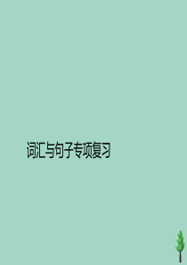 六年级英语下册 期末专题复习 词汇与句子专项复习习题课件 人教PEP版