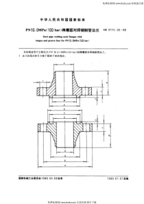 GB 9115.28-88 PN 10.0MPa(100 bar) 榫槽面对焊钢制管法兰