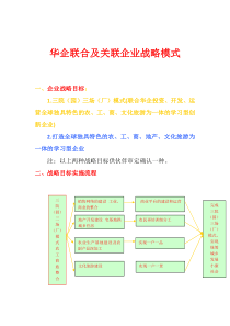 华企联合及关联企业战略模式