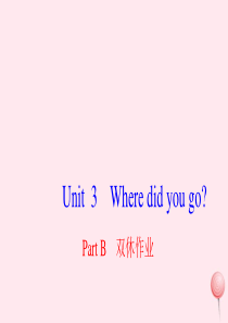 六年级英语下册 Unit 3 Where did you go Part B双休作业课件 人教PEP