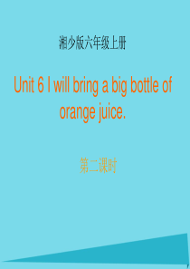 六年级英语上册 Unit 6 I will bring a big bottle of orange