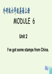 六年级英语上册 Unit 2 I haven’t got a book about America课