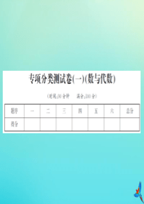 六年级数学下册 专项分类测试卷（一）（数与代数）习题课件 北师大版