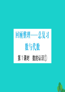 六年级数学下册 数与代数 1课件 青岛版六三制