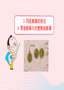 六年级数学下册 第六章 整式的乘除 3 同底数幂的除法 4 零指数幂与负整数指数幂课件 鲁教版五四制