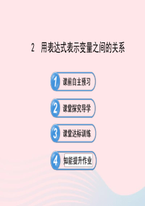 六年级数学下册 第九章 变量之间的关系 2用表达式表示变量之间的关系课件 鲁教版五四制