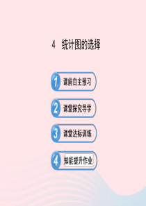 六年级数学下册 第八章 数据的收集与整理 4统计图的选择课件 鲁教版五四制