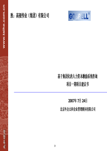 高视伟业集团项目建议书—基于集团化的人力资本激励系统