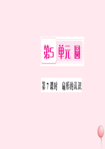 六年级数学上册 5 圆 第7课时 扇形的认识习题课件 新人教版