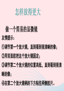 六年级科学下册 第一单元 微小世界 4怎样放得更大课件2 教科版