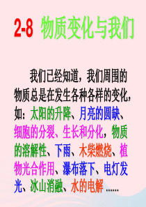 六年级科学下册 第二单元 物质的变化 8 物质变化与我们课件2 教科版