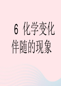 六年级科学下册 第二单元 物质的变化 6 化学变化伴随的现象课件5 教科版