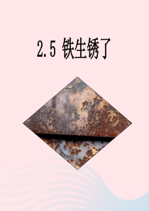 六年级科学下册 第二单元 物质的变化 5 铁生锈了课件2 教科版