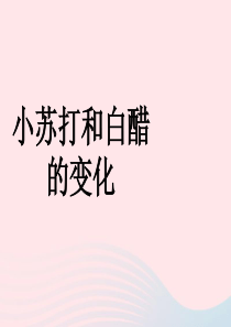 六年级科学下册 第二单元 物质的变化 4 小苏打和白醋的变化课件2 教科版