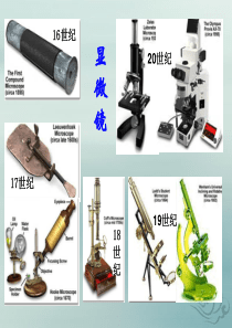 六年级科学上册 第3章 细胞与生殖 3.1 生物的基本单位 显微镜教学课件 牛津上海版