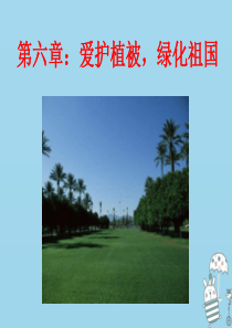 辽宁省凌海市2018年七年级生物上册 3.6爱护植被，绿化祖国课件 （新版）新人教版