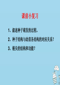 辽宁省凌海市2018年七年级生物上册 3.2.2植株的生长课件 （新版）新人教版