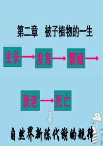 辽宁省凌海市2018年七年级生物上册 3.2.1种子的萌发课件 （新版）新人教版