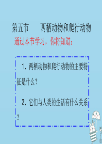 辽宁省凌海市2018年八年级生物上册 5.1.5两栖动物和爬行动物课件 （新版）新人教版