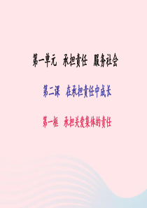 九年级政治全册 第一单元 承担责任 服务社会 第二课 在承担责任中成长 第一框 承担关爱集体的责任习