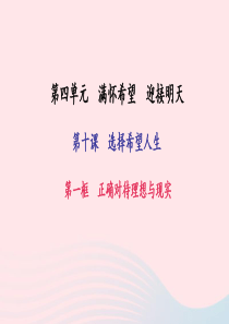 九年级政治全册 第四单元 满怀希望 迎接明天 第十课 选择希望人生 第一框 正确对待理想与现实习题课