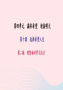 九年级政治全册 第四单元 满怀希望 迎接明天 第十课 选择希望人生 第二框 理智面对学习压力习题课件
