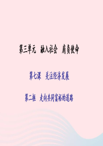 九年级政治全册 第三单元 融入社会 肩负使命 第七课 关注经济发展 第二框 走向共同富裕的道路习题课