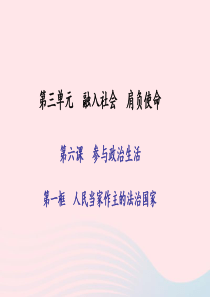 九年级政治全册 第三单元 融入社会 肩负使命 第六课 参与政治生活 第一框 人民当家作主的法治国家习