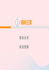 九年级语文下册 第一单元 2《梅岭三章》课件2 新人教版