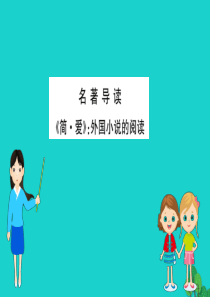 九年级语文下册 第六单元 名著导读《简 爱》外国小说的阅读习题课件 新人教版