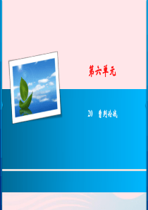 九年级语文下册 第六单元 20《曹刿论战》习题课件 新人教版