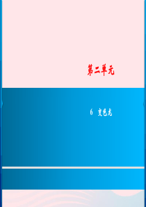 九年级语文下册 第二单元 6《变色龙》习题课件 新人教版