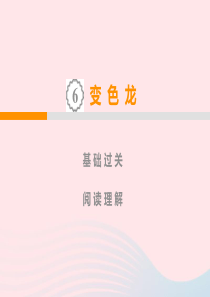 九年级语文下册 第二单元 6《变色龙》课件2 新人教版