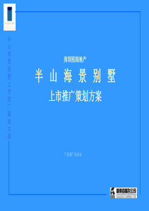 【房地产】半山海景别墅上市推广策划方案