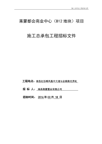 莱蒙都会商业中心(B12地块)项目施工总承包招标文件