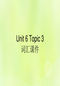 九年级英语下册 Unit 6 Entertainment and Friendship Topic 