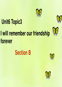 九年级英语下册 Unit 6 Entertainment and Friendship Topic 