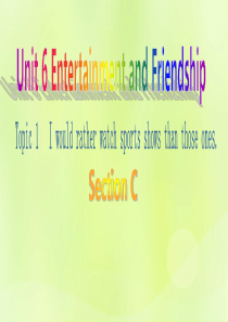 九年级英语下册 Unit 6 Entertainment and Friendship Topic 