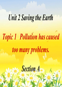 九年级英语上册 Unit 2 Saving the earth Topic 1 Pollution 